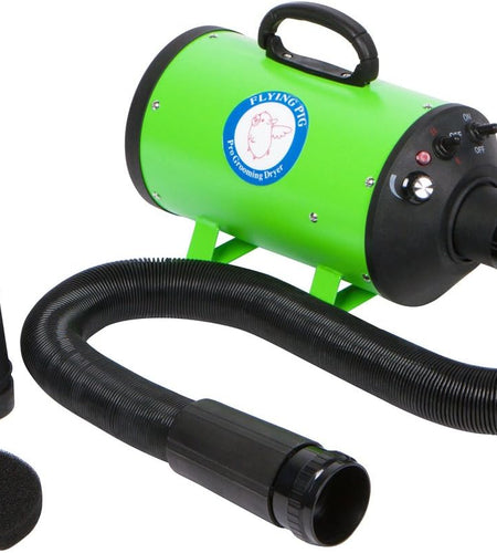 Flying Pig High Velocity Dog Pet Grooming Dryer W/Heater (Model: Flying One, Green)
