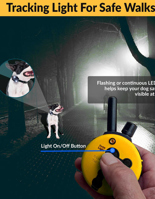 Load image into Gallery viewer, E-Collar Humane Dog Training Collar with Remote Features 100 Levels of Safe Stimulation, Tapping Sensation, Night Light, Waterproof, Rechargeable
