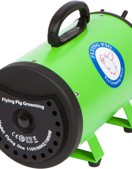 Load image into Gallery viewer, Flying Pig High Velocity Dog Pet Grooming Dryer W/Heater (Model: Flying One, Green)
