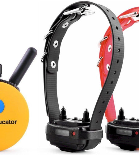 E-Collar Humane Dog Training Collar with Remote Features 100 Levels of Safe Stimulation, Tapping Sensation, Night Light, Waterproof, Rechargeable