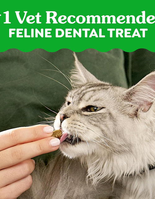 Load image into Gallery viewer, FELINE  Natural Dental Care Cat Treats, Tuna Flavor, All Bag Sizes
