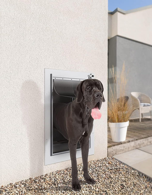 Load image into Gallery viewer, Pet Door for Wall, Steel Frame and Telescoping Tunnel, Aluminum Lock, Double Flap Dog Door and Cat Door, Strong and Durable (Pets up to 100 Lb) -Large
